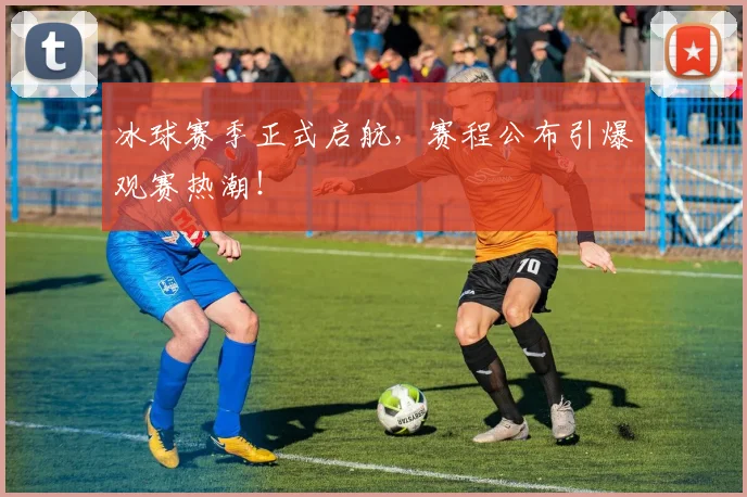 冰球赛季正式启航，赛程公布引爆观赛热潮！